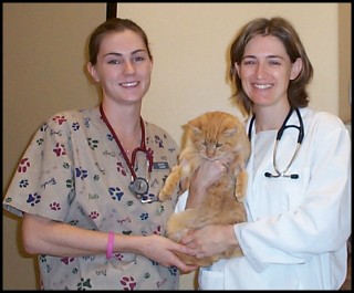/i/CorpSponsors/azanimalwellness.jpg