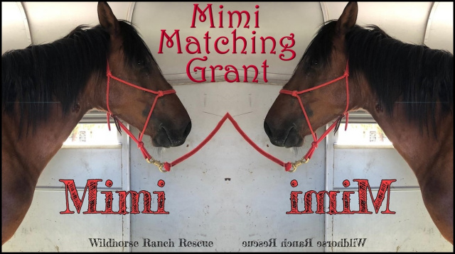 Mimi Matching Grant