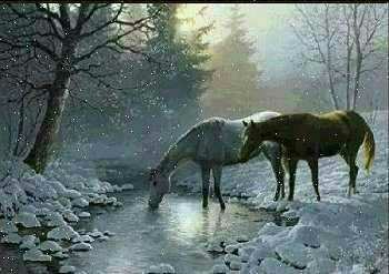 /i/Horses/blindhorse.jpg