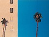 Melrose Avenue by Eve Plumb