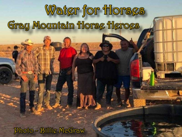 Gray Mountain Horse Heroes