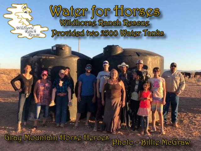 Water for Horses