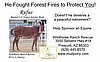 Buy 2 Bags of Senior Feed for a retired US Forest Service Equine